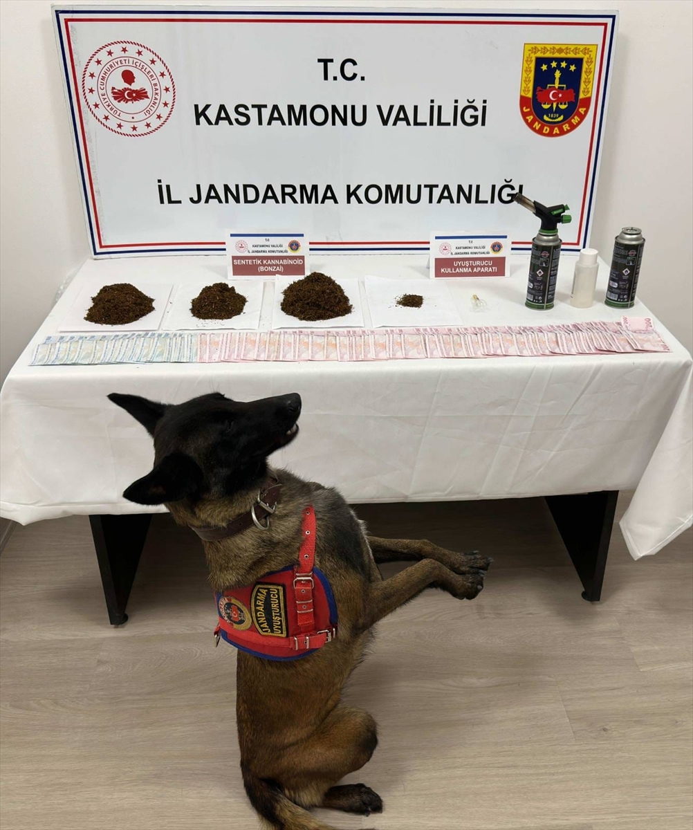Kastamonu'da uyuşturucu operasyonunda 2 zanlı tutuklandı