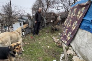 ELAZIĞ (AA) – İSMAİL ŞEN/PİRHASAN DOĞAN – Elazığ'ın Ağın ilçesinde
