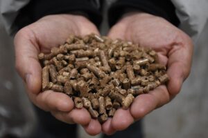 KARAMAN (AA) – HARUN REŞİT YILDIKO – Karaman'da yaşayan Hakkı