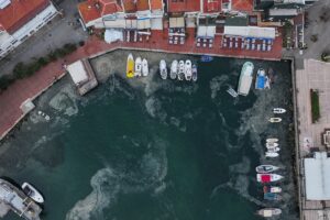 İSTANBUL (AA) – Marmara Denizi'nde 2021'den bu yana belirli aralıklarla