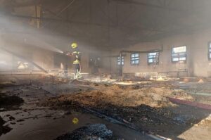 MERSİN (AA) – Mersin'in Tarsus ilçesinde tavuk çiftliğinde çıkan yangında