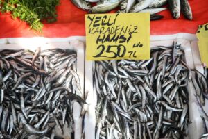 ORDU (AA) – Ordu'da balıkçı tezgahlarında hamsinin kilogramı 250 liradan