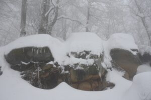 SAMSUN (AA) – Samsun'un 19 Mayıs ilçesindeki Nebiyan Dağı, kar
