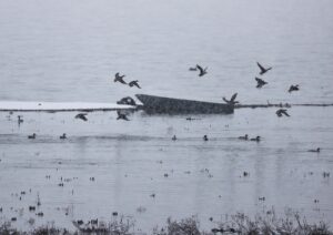 SAMSUN (AA) – Samsun'da sabah etkili olan yağmur, yüksek kesimlerde