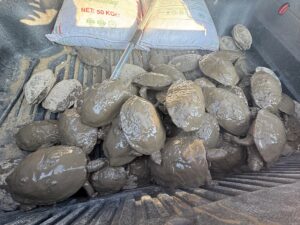 ŞANLIURFA (AA) – Şanlıurfa'nın Eyyübiye ilçesinde ıslah çalışmaları sırasında suyu