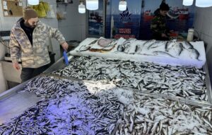 SİNOP (AA) – Karadeniz'de bir süredir etkili olan kötü hava