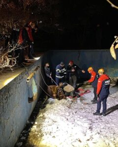 SİVAS (AA) – Sivas'ta sahibinin elinden kaçarak boş havuza düşen