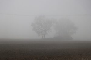 TEKİRDAĞ (AA) – Tekirdağ'da sis nedeniyle görüş mesafesi azaldı. Gece