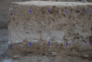 AYDIN (AA) – FERDİ UZUN – Aydın'ın Çine ilçesinde tarihi