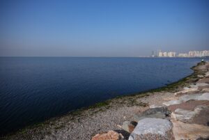 İZMİR (AA) – TEZCAN EKİZLER – Dokuz Eylül Üniversitesi (DEÜ)