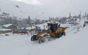 VAN (AA) – Van, Hakkari, Muş ve Bitlis'te etkili olan