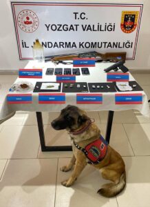 YOZGAT (AA) – Yozgat'ın Şefaatli ilçesinde çeşitli suçlardan aranan 17