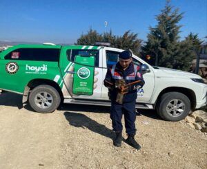 AMASYA (AA) – Amasya İl Jandarma Komutanlığı ekiplerinin devriye sırasında