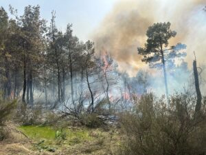 ANTALYA (AA) – Antalya'nın Kemer ilçesinde ormanlık alanda çıkan yangına