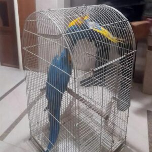 ANTALYA (AA) – Antalya'da düzenlenen operasyonda üretimi ve satışı yasak