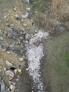 BURSA (AA) – Bursa'nın İnegöl ilçesinde bulunan Boğazköy Baraj Göleti'ndeki