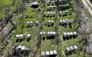 DÜZCE (AA) – Düzce'de ailesinden miras aldığı arıcılığı devlet desteğiyle