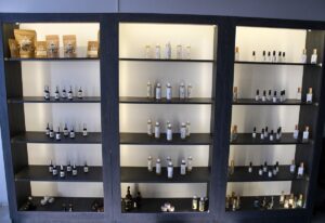 DÜZCE (AA) – GÖKSEL CÜNEYT İĞDE – Çevre ve sağlık