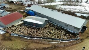 ERZURUM (AA) – Erzurum'un Aşkale ilçesinde yaşayan veterinerlik fakültesi öğrencisi