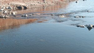 GAZİANTEP (AA) – Gaziantep'in İslahiye ilçesinden geçen Karasu Çayı'nda balık