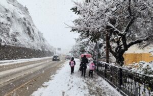 GÜMÜŞHANE (AA) – Gümüşhane'de yüksek kesimlerde etkili olan kar nedeniyle