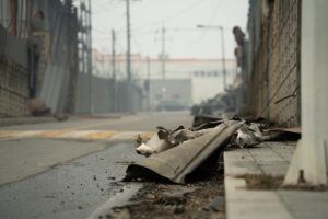 ANKARA (AA) – Güney Kore'nin güneydoğusunda 21 Mart'ta başlayan ve