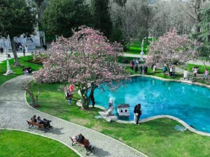 - Çiçek mevsiminde çok sayıda ziyaretçiyi ağırlayan Ihlamur Kasırları, baharda