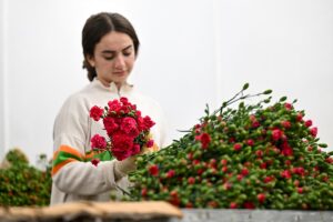 ANTALYA (AA) – HATİCE ÖZDEMİR TOSUN – İngiltere'de 30 Mart'ta