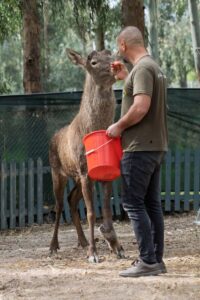 İZMİR (AA) – İzmir'in Kemalpaşa ilçesinde fabrika bahçesinde yaralı halde