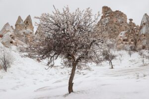 NEVŞEHİR (AA) – Nevşehir'de 2 gündür etkili olan kar yağışı