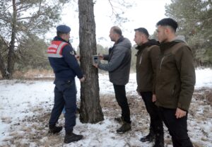 KARS (AA) – Kars'ın Sarıkamış ilçesindeki ormanlık alanlara, yaban hayatının