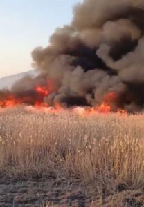 MALATYA (AA) – Malatya'nın Kale ilçesinde sazlık alanda çıkan yangın