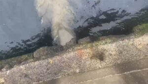 ANKARA (AA) – Çevre, Şehircilik ve İklim Değişikliği Bakanlığı, Üsküdar'daki