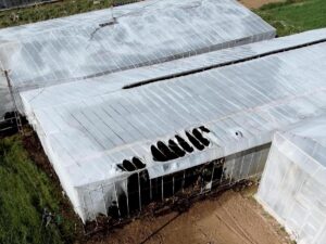 MERSİN (AA) – Mersin'in Bozyazı ilçesinde yangın çıkan 2 serada