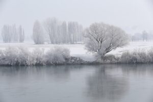 MUŞ (AA) – Muş'ta soğuk hava nedeniyle ağaçlar kırağıyla kaplandı,