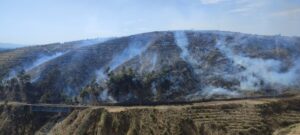 OSMANİYE (AA) – Osmaniye'nin Düziçi ilçesinde çıkan örtü yangını ekiplerin