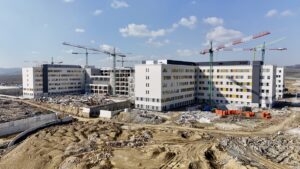 SAKARYA (AA) – EMRE AYVAZ – Sakarya'da yaklaşık 300 dönümlük