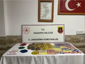 SAKARYA/KOCAELİ (AA) – Sakarya ve Kocaeli'de kumar oynadıkları gerekçesiyle 73
