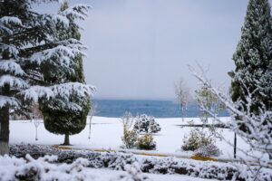 - Marmara Bölgesi'nin en önemli içme suyu kaynağı gölde 14
