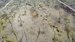 BOLU (AA) – Doğal güzellikleriyle ünlü Bolu'da yer alan Sarıalan