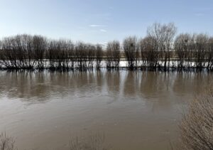 ARDAHAN (AA) – Yüzeyi buzla kaplı Kura Nehri, hava sıcaklığının