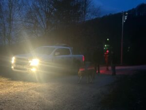 SİNOP (AA) – Sinop'un Türkeli ilçesinde elektrik akımına kapılan büyükbaş