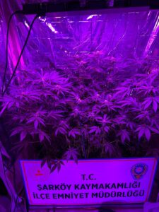 TEKİRDAĞ (AA) – Tekirdağ'ın Şarköy ilçesinde, evinde iklimlendirme sistemiyle Hint