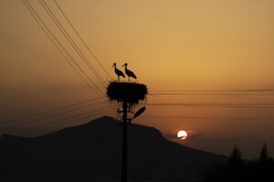 TUNCELİ (AA) – SİDAR CAN EREN – Tunceli'nin Pertek ilçesinde