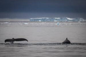 İSTANBUL (AA) – Cumhurbaşkanlığı himayelerinde, Sanayi ve Teknoloji Bakanlığı uhdesinde,