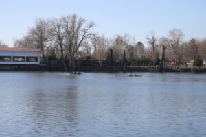 EDİRNE (AA) – Meriç Nehri'nde düzenlenen Türkiye Kürek Şampiyonası'nda ikinci