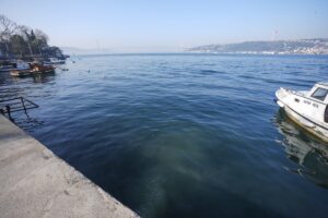 İSTANBUL (AA) – Üsküdar'da, ocak ayından bu yana aralıklarla denize