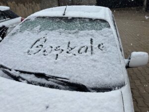 VAN (AA) – Van'ın Başkale ilçesinde kar etkili oldu. İlçede