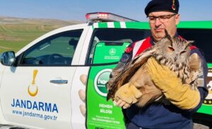 YOZGAT (AA) – Yozgat'ta jandarma ekiplerince yaralı halde bulunan puhu