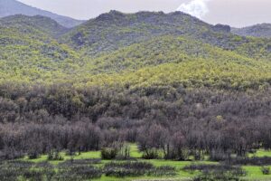 ELAZIĞ (AA) – İSMAİL ŞEN – Elazığ'da doğaseverler halk arasında